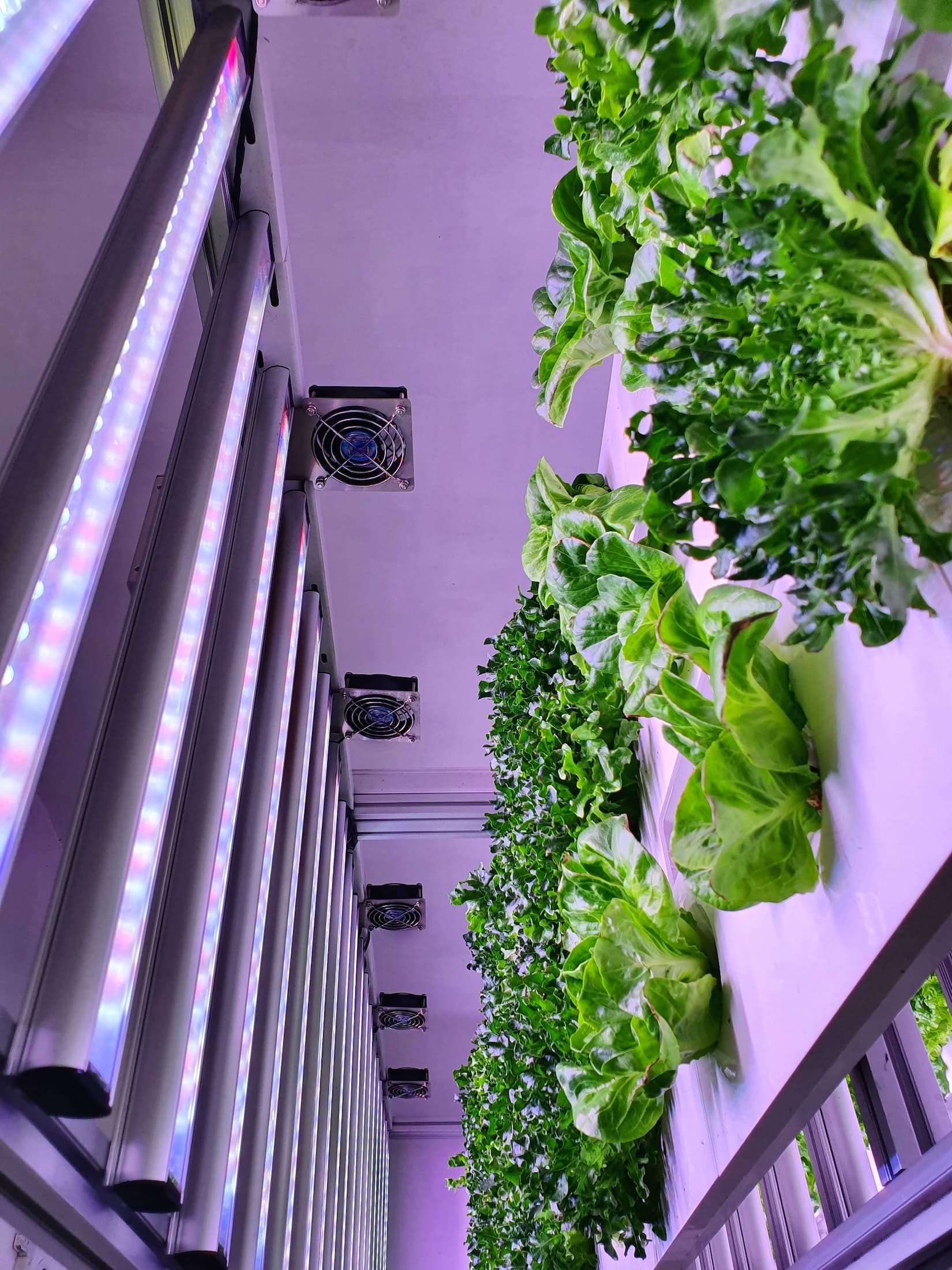 Indoor Cultivation